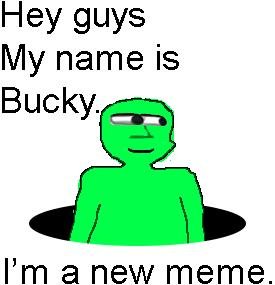 Bucky Art